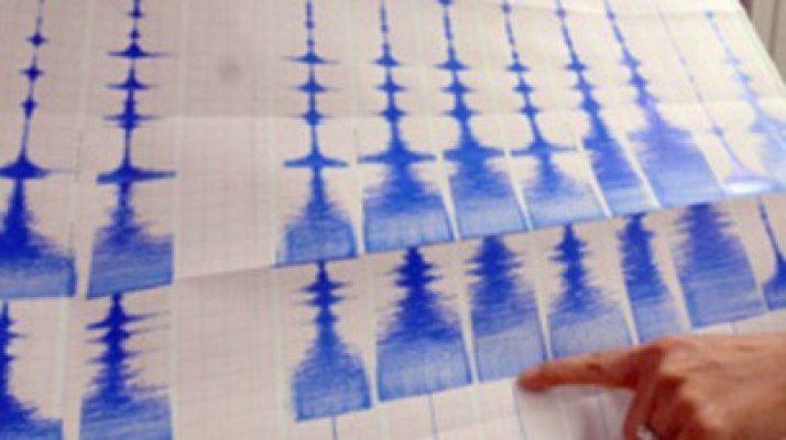 Se cutremură Serbia: 14 seisme în noiembrie